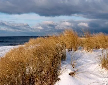 Kaeptn Brass 3 App 3 Strandmuschel *